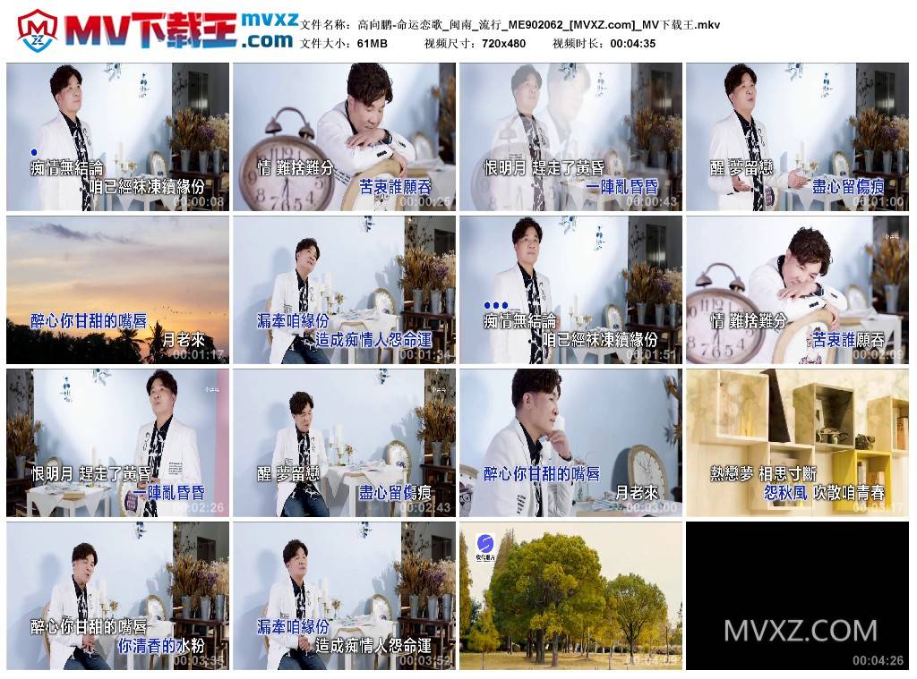 高向鹏-命运恋歌_闽南_流行_ME902062